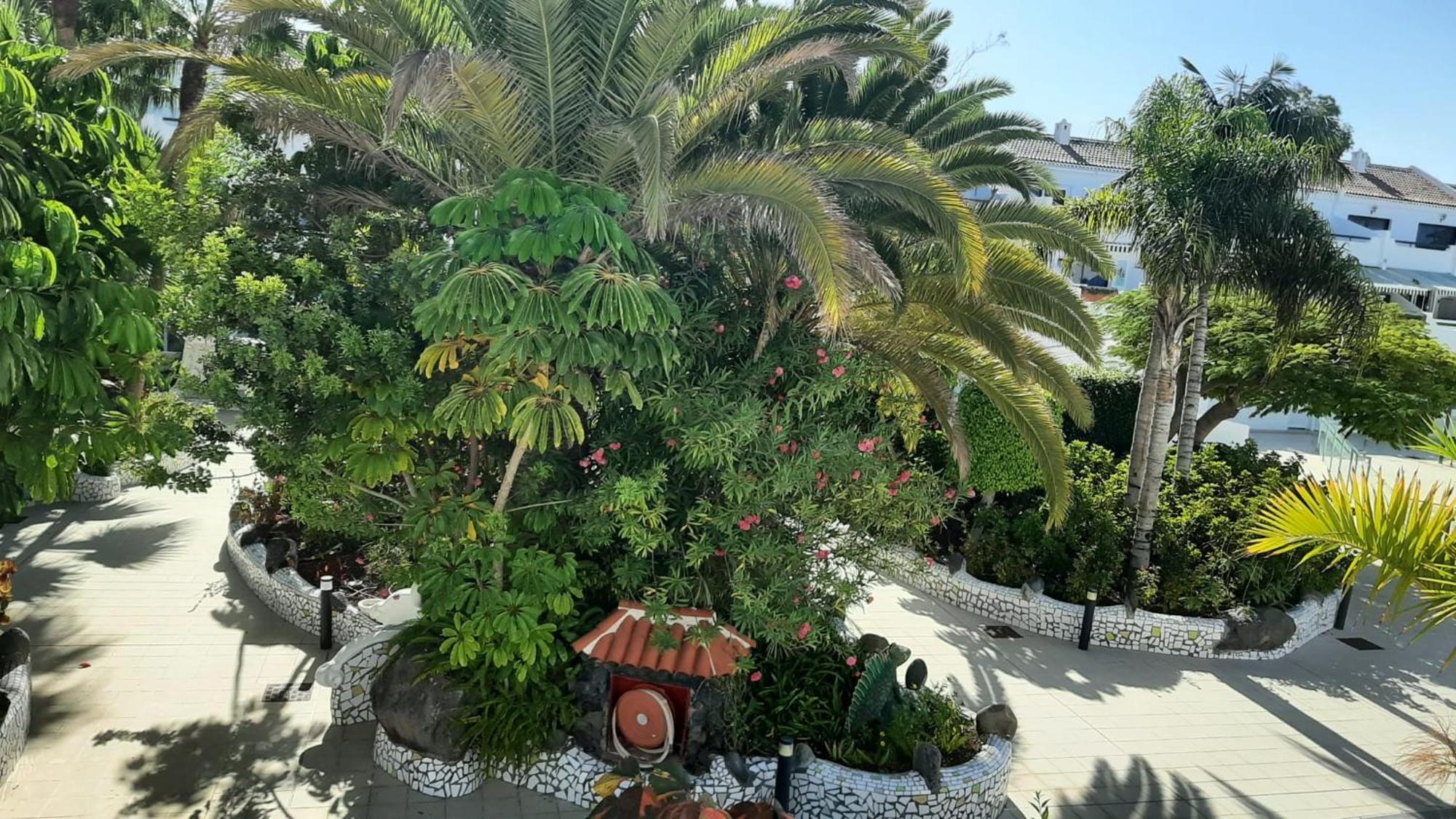 Blue Bay Paradise - Beach Front Apartment With Sea View Playa Paraiso  Exterior foto